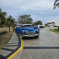 фото из отзыва ID 2675294