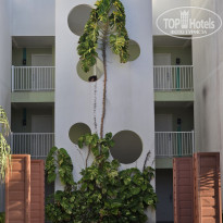 фото из отзыва ID 2675294