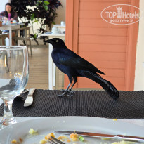 фото из отзыва ID 2675294