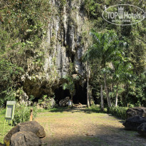 фото из отзыва ID 2675294