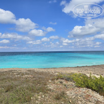 фото из отзыва ID 2675294