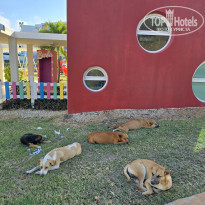 фото из отзыва ID 2675294