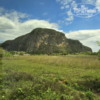 фото из отзыва ID 2675294