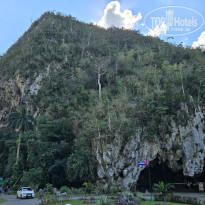 фото из отзыва ID 2675294