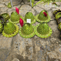 фото из отзыва ID 2675294