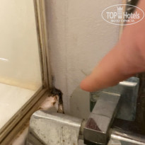 фото из отзыва ID 2675310