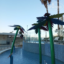 фото из отзыва ID 2675342