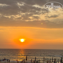 фото из отзыва ID 2675406