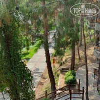 фото из отзыва ID 2675412