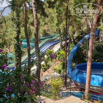 фото из отзыва ID 2675412