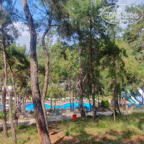 фото из отзыва ID 2675412