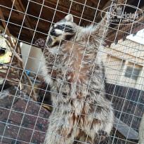 фото из отзыва ID 2675440