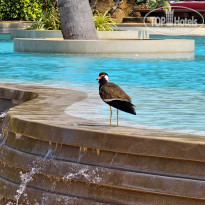 фото из отзыва ID 2675437