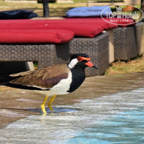 фото из отзыва ID 2675437