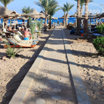 фото из отзыва ID 2675491