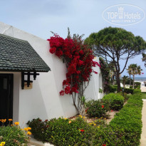 фото из отзыва ID 2675529