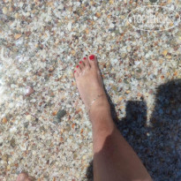 фото из отзыва ID 2675529