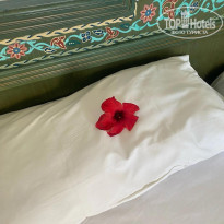 фото из отзыва ID 2675529