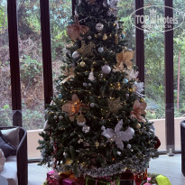 фото из отзыва ID 2675537