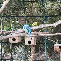 фото из отзыва ID 2675564