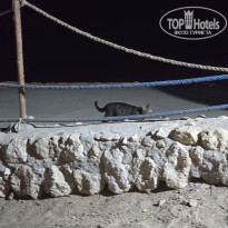 фото из отзыва ID 2675575