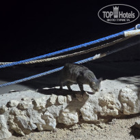 фото из отзыва ID 2675575