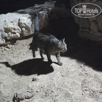 фото из отзыва ID 2675575