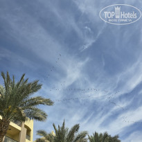 фото из отзыва ID 2675575