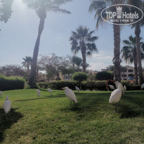 фото из отзыва ID 2675587