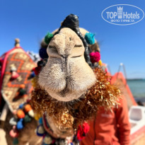 фото из отзыва ID 2675587