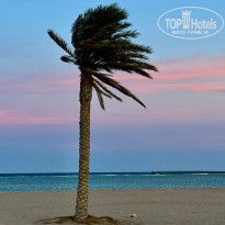 фото из отзыва ID 2675587