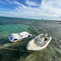 фото из отзыва ID 2675587