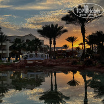 фото из отзыва ID 2675587