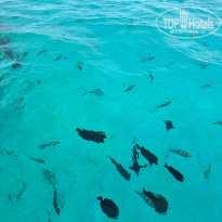 фото из отзыва ID 2675587