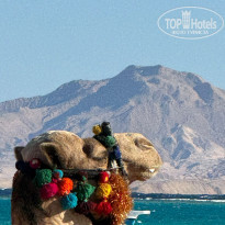 фото из отзыва ID 2675587