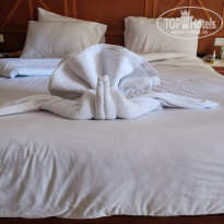 фото из отзыва ID 2675587