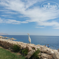 фото из отзыва ID 2675627