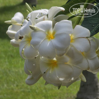 фото из отзыва ID 2675746