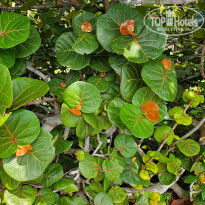 фото из отзыва ID 2675746