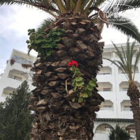 фото из отзыва ID 2675751