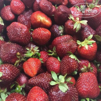 фото из отзыва ID 2675751