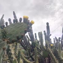 фото из отзыва ID 2675751