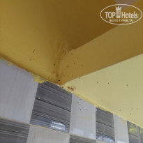 фото из отзыва ID 2675752