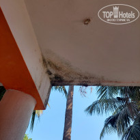 фото из отзыва ID 2675752