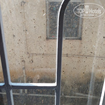 фото из отзыва ID 2675752