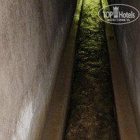 фото из отзыва ID 2675779