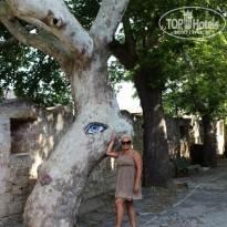 фото из отзыва ID 2675779