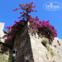 фото из отзыва ID 2675779