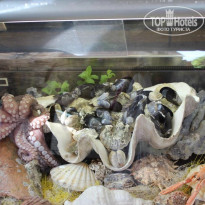 фото из отзыва ID 2675779