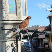 фото из отзыва ID 2675779